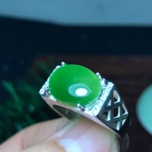 548010543912xi