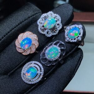 602395648199xi